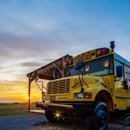 American School Bus - 1 Bedroom - Blossom Farm - Tiers Cross Johnston Exterior photo