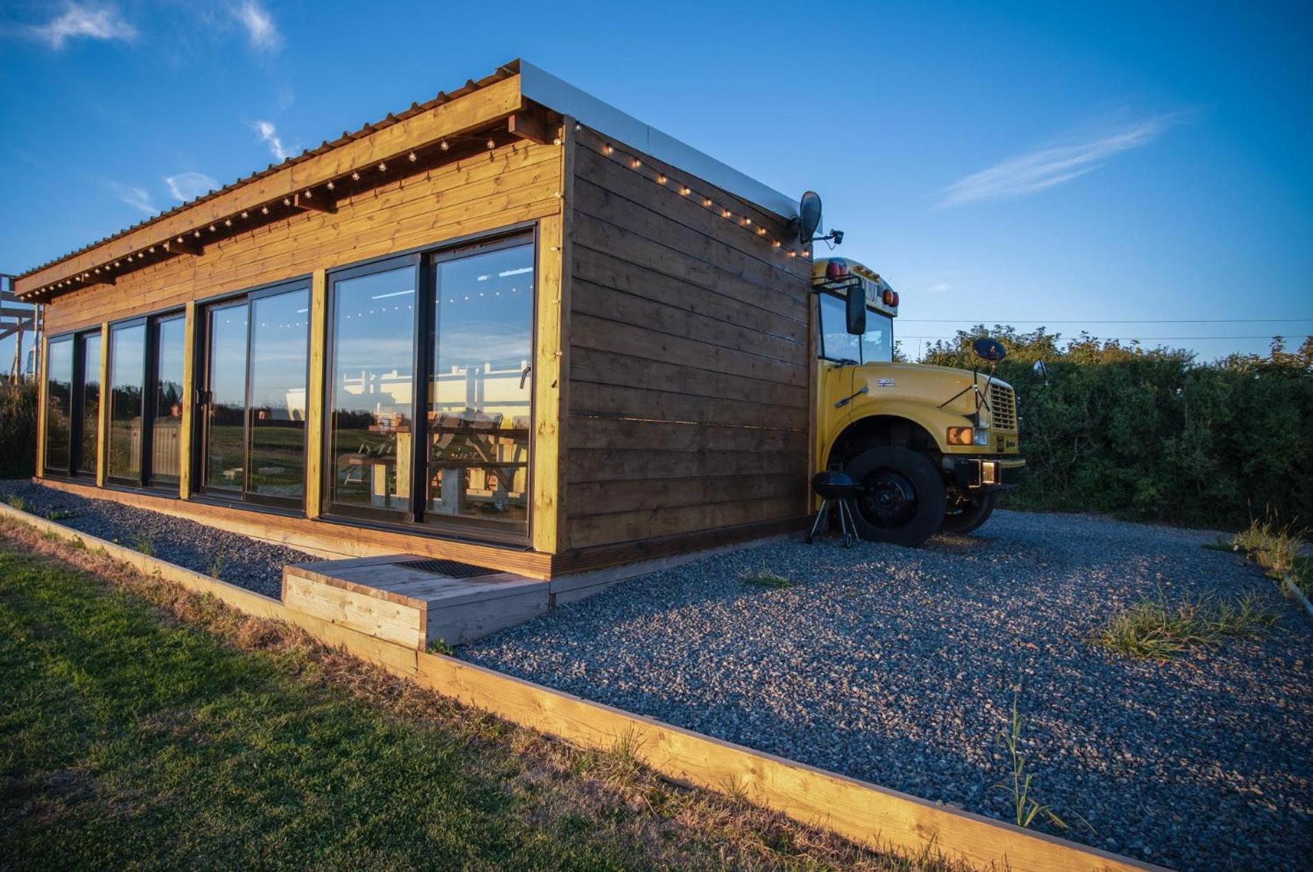 American School Bus - 1 Bedroom - Blossom Farm - Tiers Cross Johnston Exterior photo